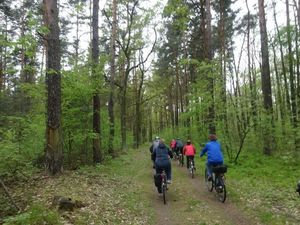 unterwegs-Natur pur (Bild: 9/20)