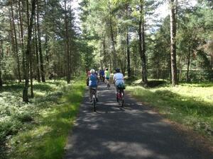 bis zum Branitzer Park