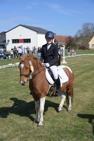 Reiten in Sedlitz (Bild: 2/6)