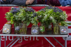 12. Forster Derny-Cup der Stadtwerke Forst GmbH, Foto: Frank Junge (Bild: 5/6)