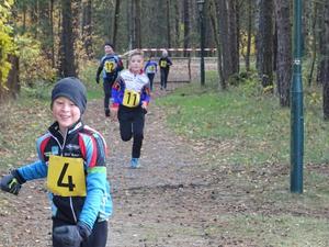 die Altersklasse U 11 auf der Strecke (Bild: 4/17)