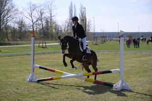 Reiten in Sedlitz (Bild: 5/6)