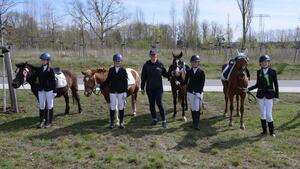 Reiten in Sedlitz (Bild: 1/6)