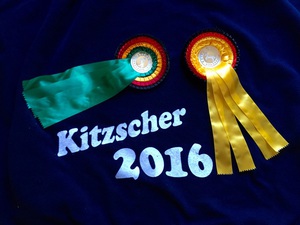 Reitturnier Kitzscher - Reitanlage Heuter (Bild: 3/5)