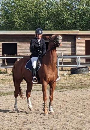 Impressionen 2. Hofturnier 2023 (Bild: 6/9)