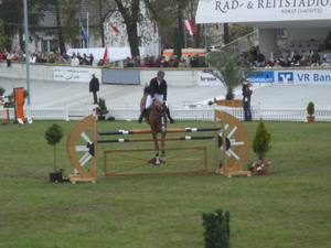 Reit- & Springturnier 2008 (Bild: 3/6)