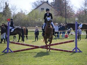 Reiten in Sedlitz (Bild: 4/6)