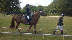 Tim Roeschke in Maust (Bild: 2/2)