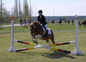 Reiten in Sedlitz (Bild: 6/6)