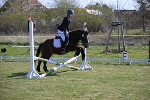 Reiten in Sedlitz (Bild: 3/6)