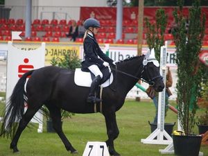 SattelFest, Foto: Marion Nerad