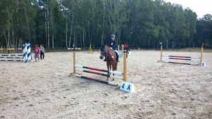 Tim Roeschke in Gallinchen - Springreiterwettbewerb (Bild: 1/3)