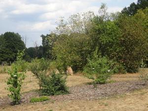 Radwandern zum Malxehof (Bild: 3/10)