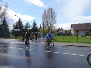 Sie trotzen der Nässe (Bild: 5/6)