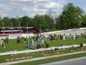 Abschreiten vor der Springprüfung (Bild: 1/12)