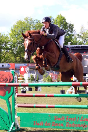 7. Reit - und Springturnier 2014 (Bild: 6/6)