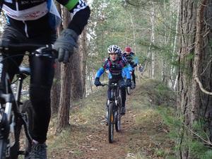 unterwegs auf der Strecke (Bild: 7/17)