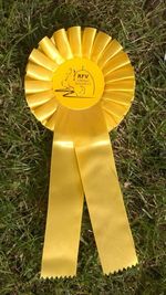 Goldene Schleife für Tim Roeschke (Bild: 1/2)